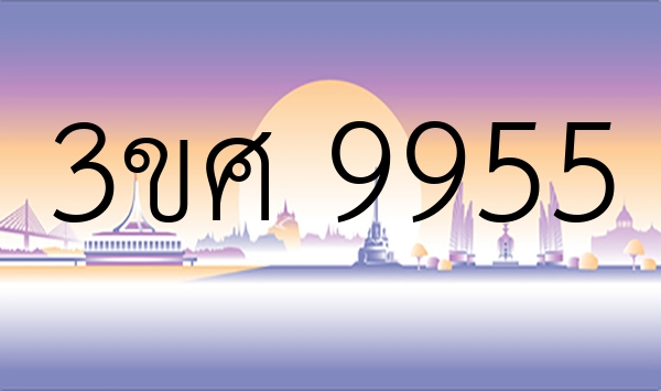3ขศ 9955